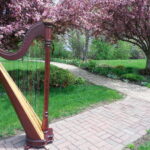 Harp
