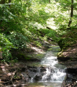 Waterfall 1